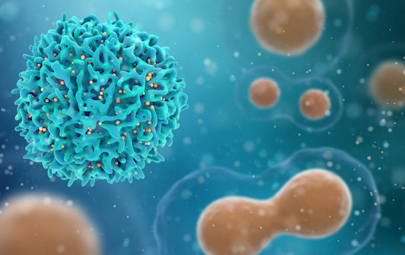 cancerous cells cancerous cells