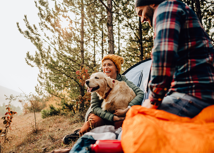 Family with their dog enjoying time outdoors Family with their dog enjoying time outdoors