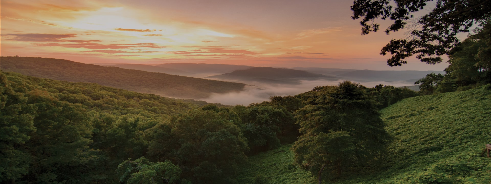 arkansas panoramic skyline