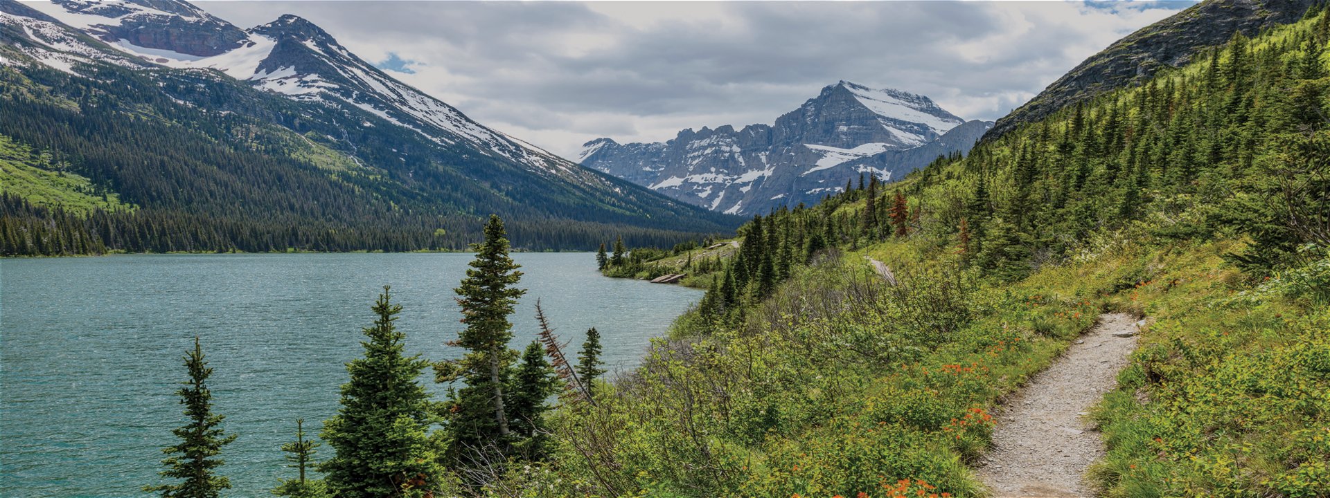 Montana panoramic skyline